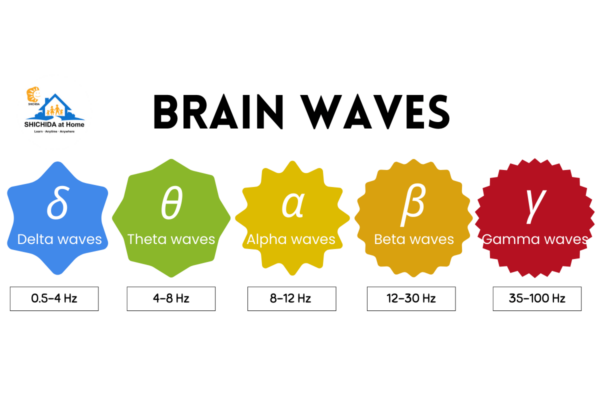 How Do Brain Waves Affect Learning? | SHICHIDA at Home